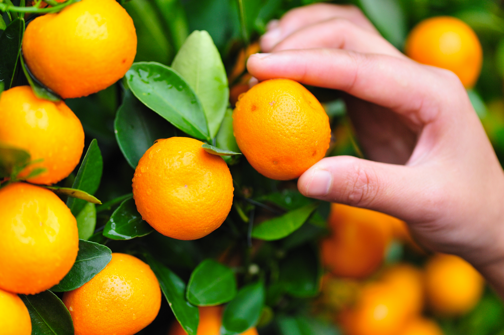 Gratuluję i dziękuję! … o docenianiu pracowników. Część II