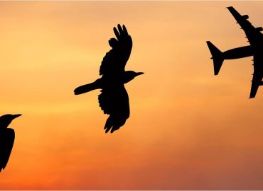 Zaangażowanie z perspektywy menedżera