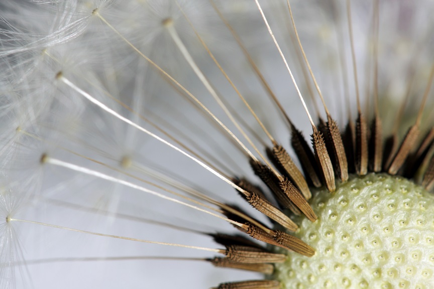 Storytelling. Kompetencja przyszłości czy moda, która przeminie?