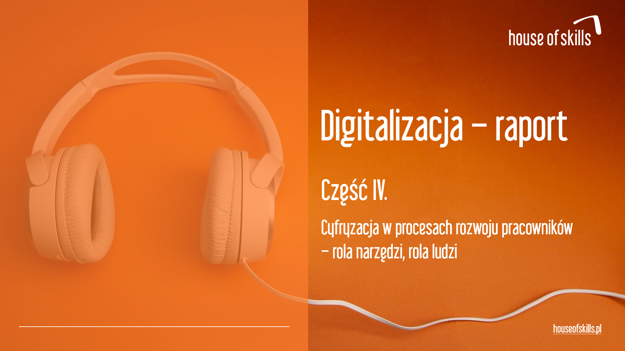 Raport digitalizacja CZĘŚĆ IV