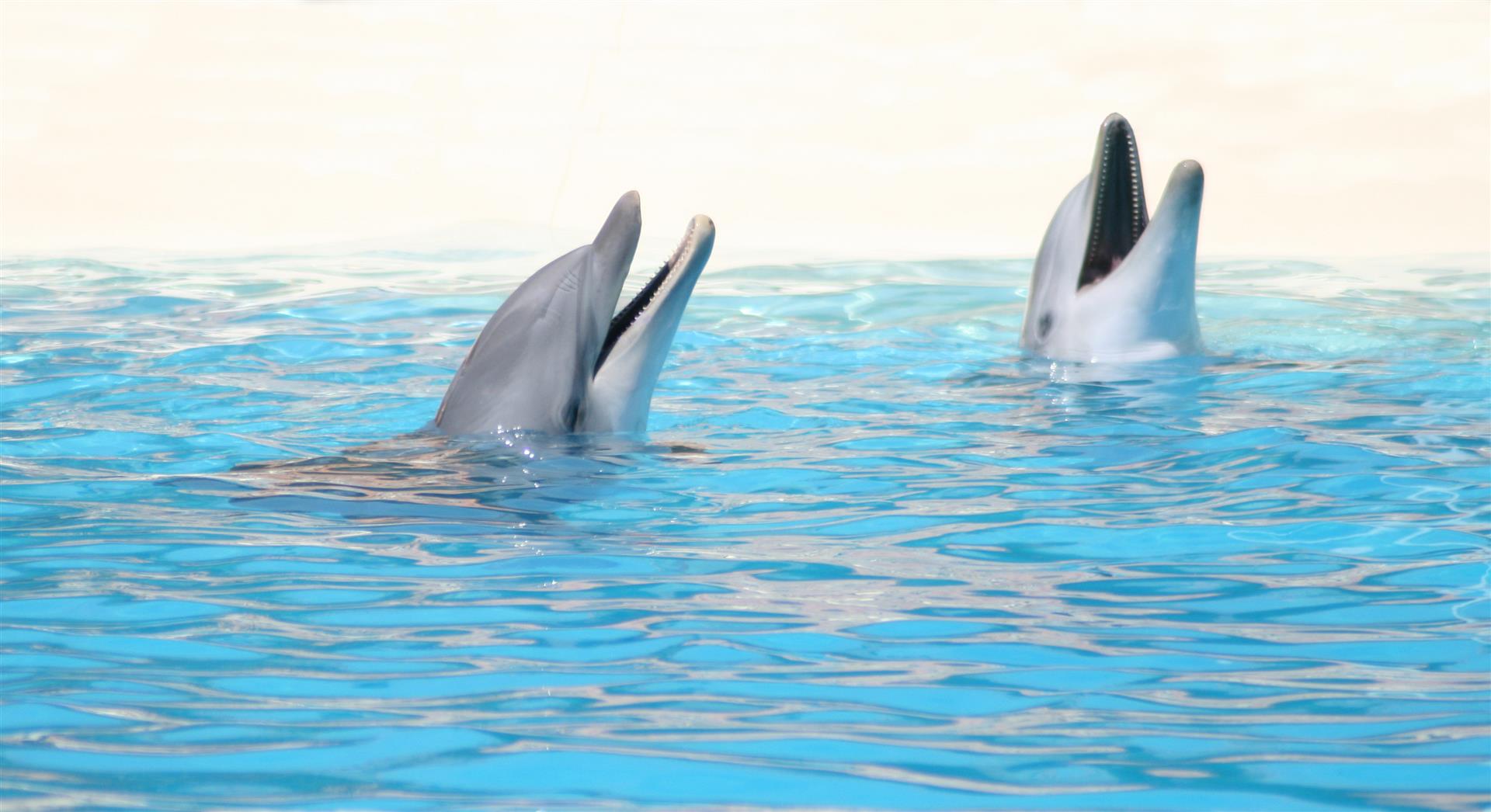 Podsumowanie webinaru Leadership is Partnership