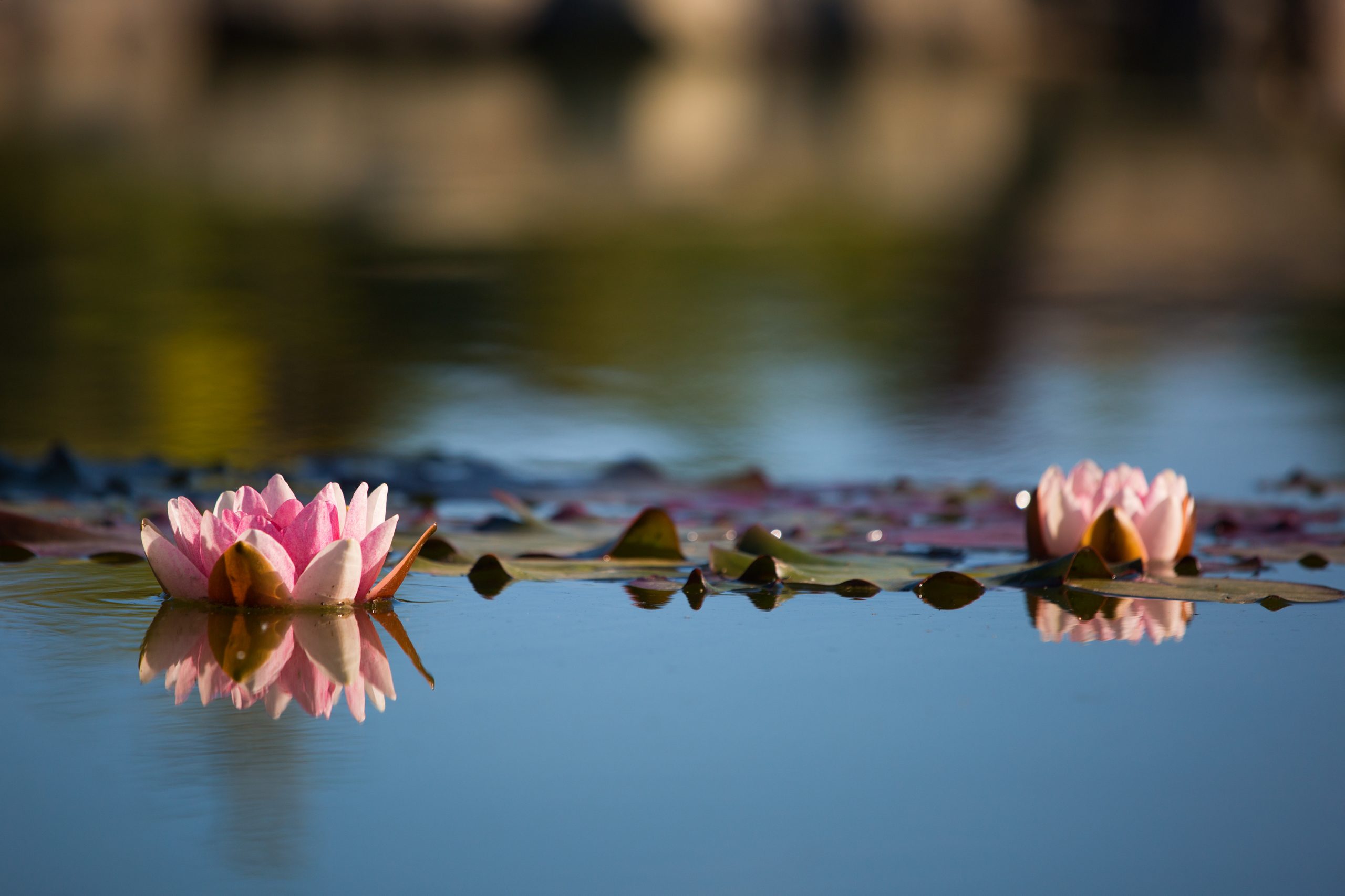 Jak budować empatyczne podejście w kontakcie z drugą osobą